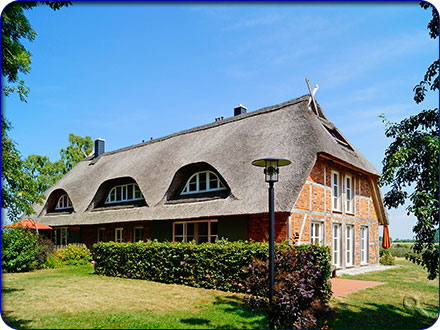 Blick auf die Terrasse