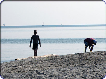 Am Sandstrand kann man Spielen, Toben, Baden und Muscheln sammeln