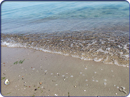 Ein erfrischendes Bad in der Ostsee gefällig?