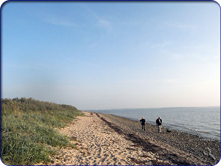 Ostseestrand in der Nähe des Ferienhauses