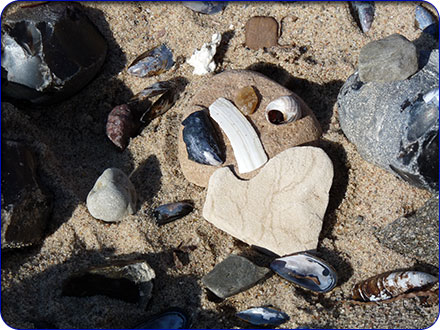 Muscheln am Strand